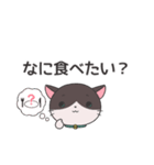 ねこのラグちゃん【家族と使える！】（個別スタンプ：23）