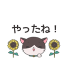 ねこのラグちゃん【家族と使える！】（個別スタンプ：25）