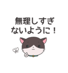 ねこのラグちゃん【家族と使える！】（個別スタンプ：27）