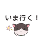 ねこのラグちゃん【家族と使える！】（個別スタンプ：32）