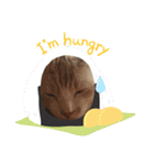 うちのあいつは今日も寝る（個別スタンプ：11）