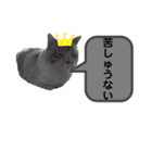 うちのあいつは今日も寝る（個別スタンプ：14）