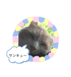 うちのあいつは今日も寝る（個別スタンプ：22）