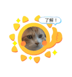 うちのあいつは今日も寝る（個別スタンプ：23）