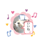 うちのあいつは今日も寝る（個別スタンプ：24）