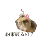 とっとこファミリー2（個別スタンプ：9）