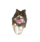 うちのさだはる①（個別スタンプ：3）