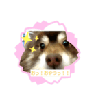 うちのさだはる①（個別スタンプ：7）