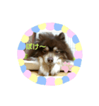 うちのさだはる①（個別スタンプ：8）