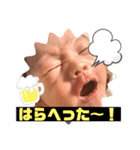 なちこのむすこ。2（個別スタンプ：4）
