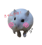 みんなみんなはむはむ？（個別スタンプ：4）