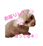 marimo.93（個別スタンプ：4）