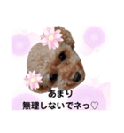 marimo.93（個別スタンプ：6）