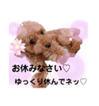 marimo.93（個別スタンプ：8）