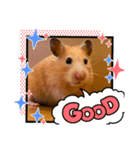 キンクマロン（個別スタンプ：1）