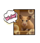 キンクマロン（個別スタンプ：4）