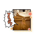 キンクマロン（個別スタンプ：5）
