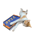 ななニャンすたんぷ①（個別スタンプ：8）