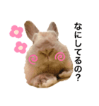 のんびりうーちゃん（個別スタンプ：1）