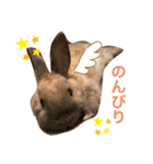 のんびりうーちゃん（個別スタンプ：3）