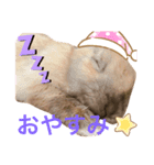 のんびりうーちゃん（個別スタンプ：7）