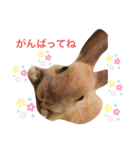 のんびりうーちゃん（個別スタンプ：8）