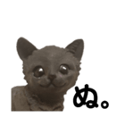 黒猫の置物（個別スタンプ：5）
