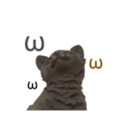 黒猫の置物（個別スタンプ：6）