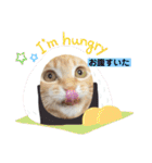茶トラ猫のラスカル（個別スタンプ：4）