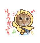 茶トラ猫のラスカル（個別スタンプ：15）
