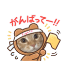茶トラ猫のラスカル（個別スタンプ：16）