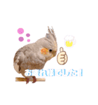 インコたちの楽しいスタンプ（個別スタンプ：8）
