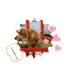 キャバリアkyabaria（個別スタンプ：4）