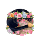 感情的な猫（個別スタンプ：8）