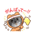 めめたんスタンプ①（個別スタンプ：1）