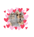 めめたんスタンプ①（個別スタンプ：5）