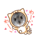 めめたんスタンプ①（個別スタンプ：12）