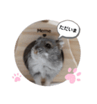 めめたんスタンプ①（個別スタンプ：18）