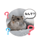 めめたんスタンプ①（個別スタンプ：19）