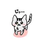 ねこねこ♡stamp（個別スタンプ：1）