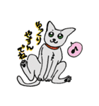 ねこねこ♡stamp（個別スタンプ：15）