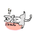 ねこねこ♡stamp（個別スタンプ：17）