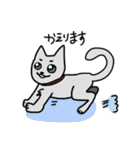 ねこねこ♡stamp（個別スタンプ：21）