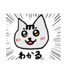 ねこねこ♡stamp（個別スタンプ：22）