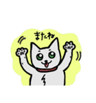 ねこねこ♡stamp（個別スタンプ：23）