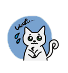 ねこねこ♡stamp（個別スタンプ：31）