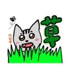 ねこねこ♡stamp（個別スタンプ：36）