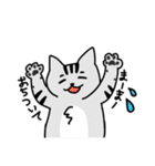 ねこねこ♡stamp（個別スタンプ：40）