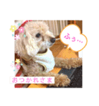 ペロちゃんとゆかいな毎日♡（個別スタンプ：5）