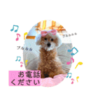 ペロちゃんとゆかいな毎日♡（個別スタンプ：8）